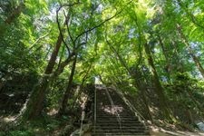 Tourist destination images of Negoroji Temple(2)