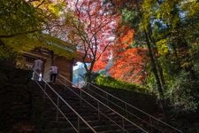 Tourist destination images of Negoroji Temple(5)