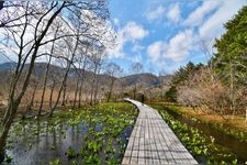 Tourist destination images of Hakone Shissei Garden(1)