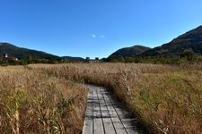 Tourist destination images of Hakone Shissei Garden(2)