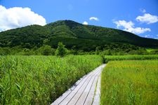 Tourist destination images of Hakone Shissei Garden(4)