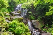 Tourist destination images of Hiryu-no-taki (Flying Dragon Waterfall)(2)