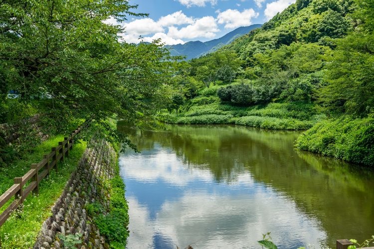 鹿野城跡公園