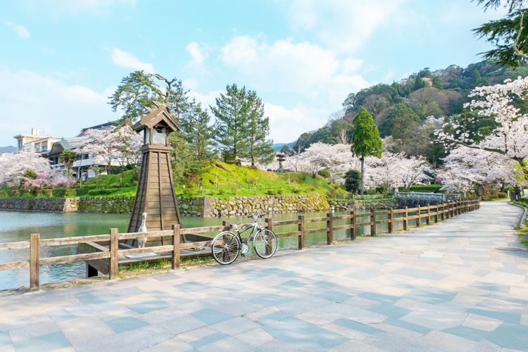 鹿野城跡公園 2