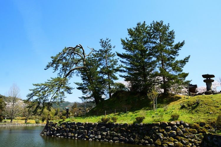 Kanoya Castle Ruins Park