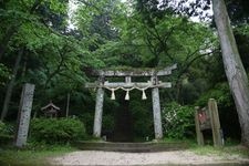 Tourist destination images of Kanoya Castle Ruins Park(2)