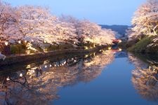 Tourist destination images of Kanoya Castle Ruins Park(3)