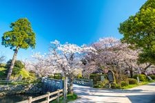 Tourist destination images of Kanoya Castle Ruins Park(4)