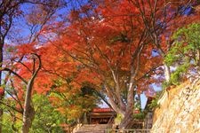 Tourist destination images of Katsuo-ji Temple(1)