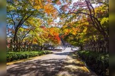 Tourist destination images of Katsuo-ji Temple(2)