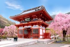 Tourist destination images of Katsuo-ji Temple(4)