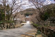 Tourist destination images of Katsuo-ji Temple(5)