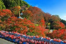 Tourist destination images of Katsuo-ji Temple(4)