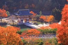 Tourist destination images of Katsuo-ji Temple(7)