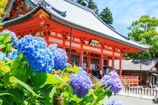 Tourist destination images of Katsuo-ji Temple(3)