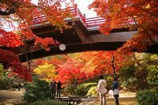 Tourist destination images of Yahiko Park(2)