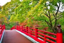 Tourist destination images of Yahiko Park(2)