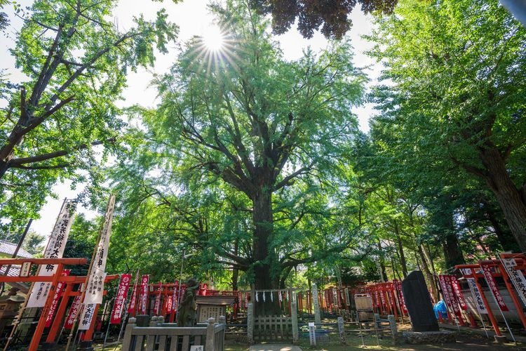 Zoshigaya Kishimojin-do Temple