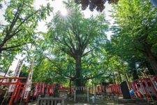 Tourist destination images of Zoshigaya Kishimojin-do Temple(1)