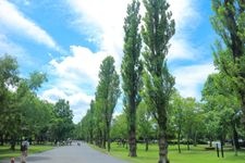 Tourist destination images of Mizumoto Park(2)