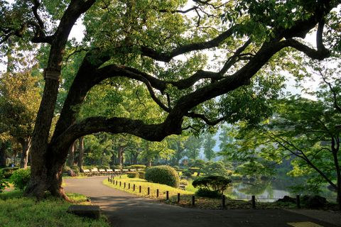 日比谷公園