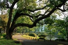 Tourist destination images of Hibiya Park(1)