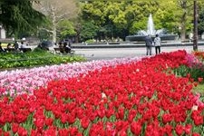 Tourist destination images of Hibiya Park(5)