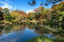 有栖川宮紀念公園的觀光地圖片(3)