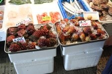 Tourist destination images of Sendai Asaichi (Morning Market)(2)