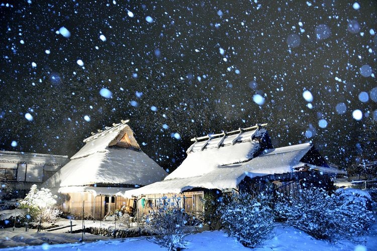 Miyama Kayabuki no Sato (Thatched-Roof Village) - Kitamura