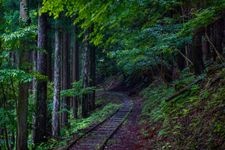 Tourist destination images of Miyama Kayabuki no Sato (Thatched-Roof Village) - Kitamura(4)