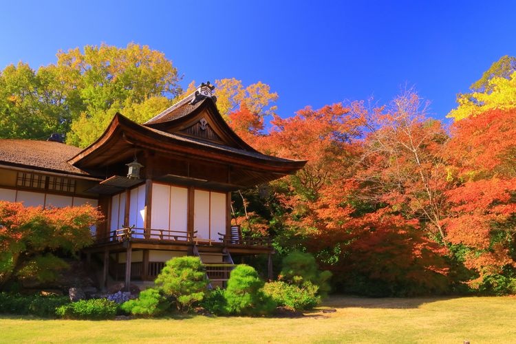 大河内山荘庭園 2