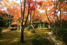 Tourist destination images of Ohkouchi Sanso Garden(4)