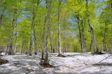 Tourist destination images of Okususoha Nature Garden(1)