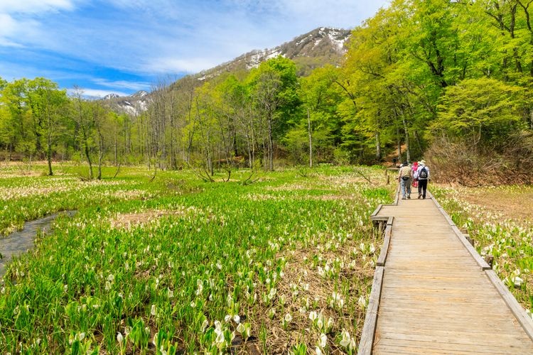 Tourist destination images of Okususoha Nature Garden(2)