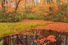 Tourist destination images of Okususoha Nature Garden(1)