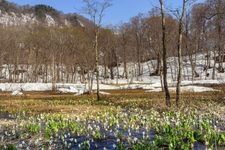 Tourist destination images of Okususoha Nature Garden(2)