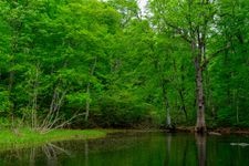 Tourist destination images of Okususoha Nature Garden(3)