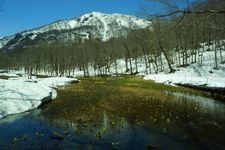 Tourist destination images of Okususoha Nature Garden(4)