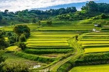 Tourist destination images of Inabuchi Rice Terraces(2)