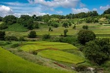 Tourist destination images of Inabuchi Rice Terraces(4)