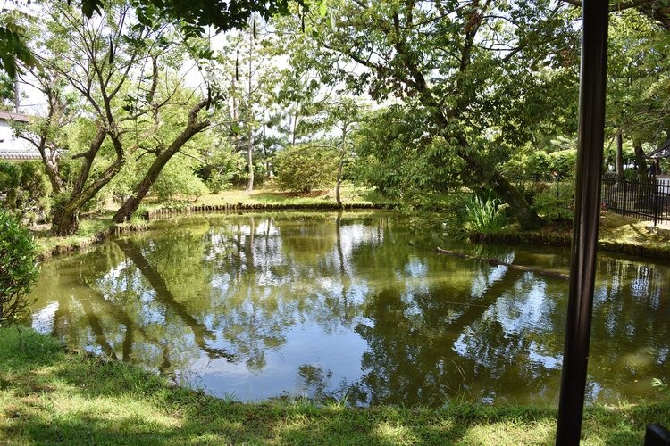 Saidai-ji Temple