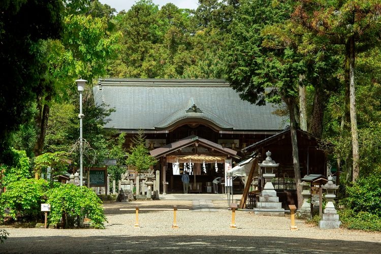 大和神社的旅游景点图片(4)