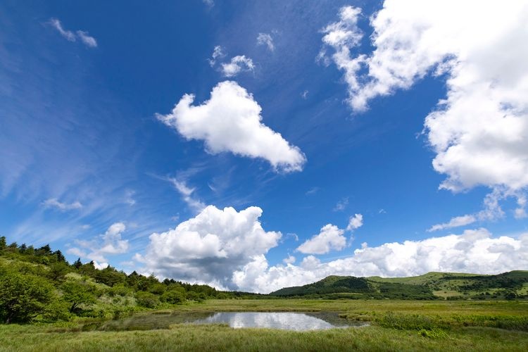 Yashimagahara Marshland