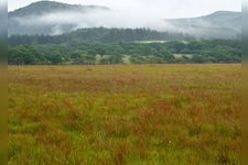 Tourist destination images of Yashimagahara Marshland(2)