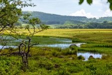 Tourist destination images of Yashimagahara Marshland(5)