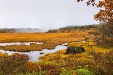 Tourist destination images of Yashimagahara Marshland(6)