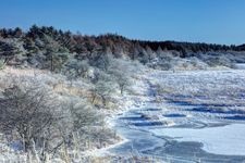 Tourist destination images of Yashimagahara Marshland(7)