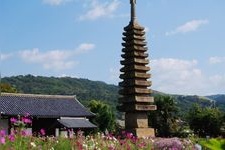 Tourist destination images of Hannya-ji Temple(3)