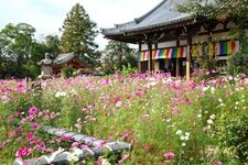 Tourist destination images of Hannya-ji Temple(4)